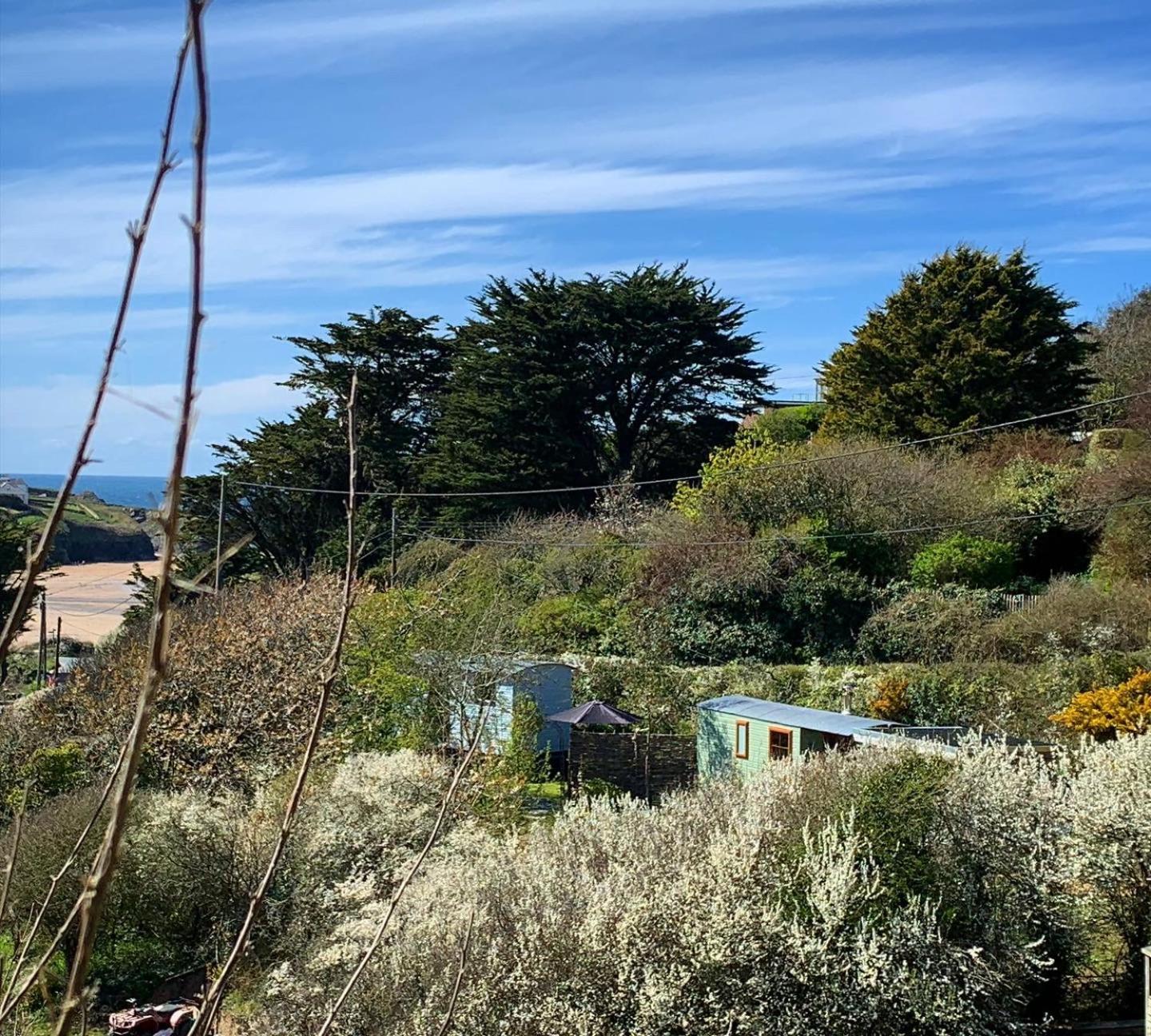 Tides Reach, Deluxe Shepherds Hut 1, 100M From The Beach Saint Merryn Exteriör bild